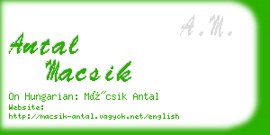 antal macsik business card